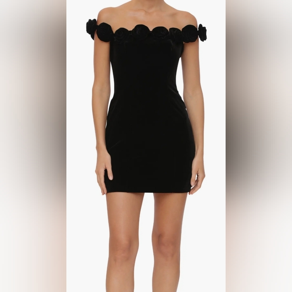 NWT, velvet mini dress,  size 8.